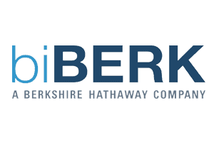 BiBerk insurance